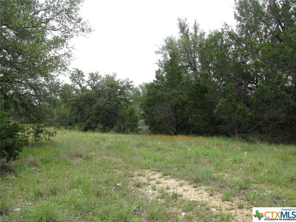 Lot 41 Phase 6 PR42107, Evant, TX 76525