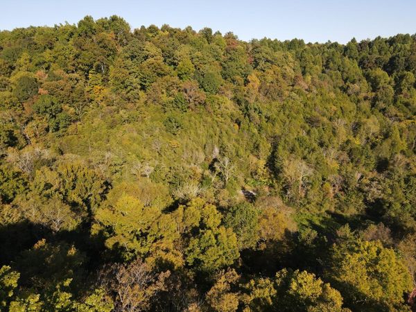 0 Cole Ridge Rd, Manchester, TN 37355