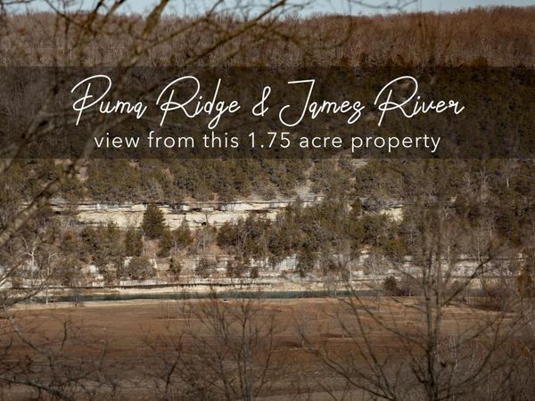 Lot 203 Lone Oak Drive, Cape Fair, MO 65624