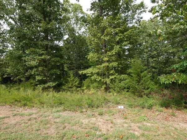 1173 Emory Creek Boulevard, Branson, MO 65616