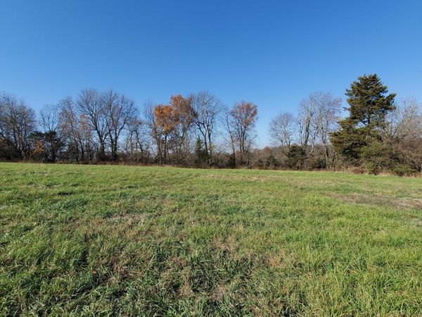 6533 S Lock Lane, Unit (Lot 3), Republic, MO 65738