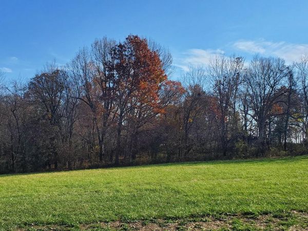 6594 S Stock Street, Unit Lot 10, Republic, MO 65738