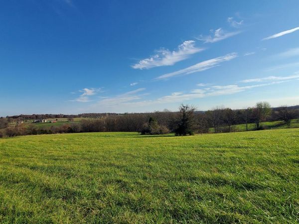 6474 S Barrel Boulevard, Unit Lot 17, Republic, MO 65738