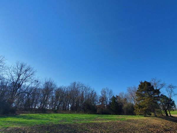 6523 S Stock Street, Unit Lot 8, Republic, MO 65738