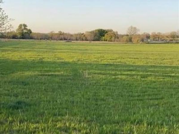 lot 9 County Road 3420, Bridgeport, TX 76426