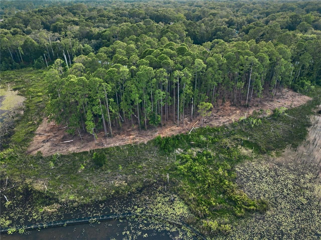 116 E Greentree Lane, Lake Mary, FL 32746 Photo