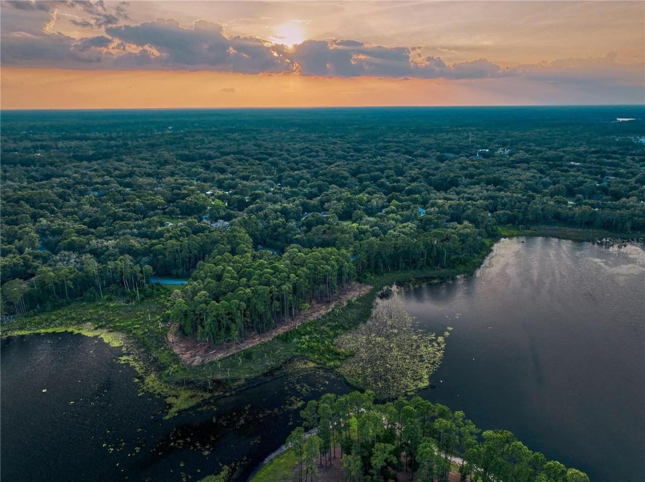 116 E Greentree Lane, Lake Mary, FL 32746 Photo