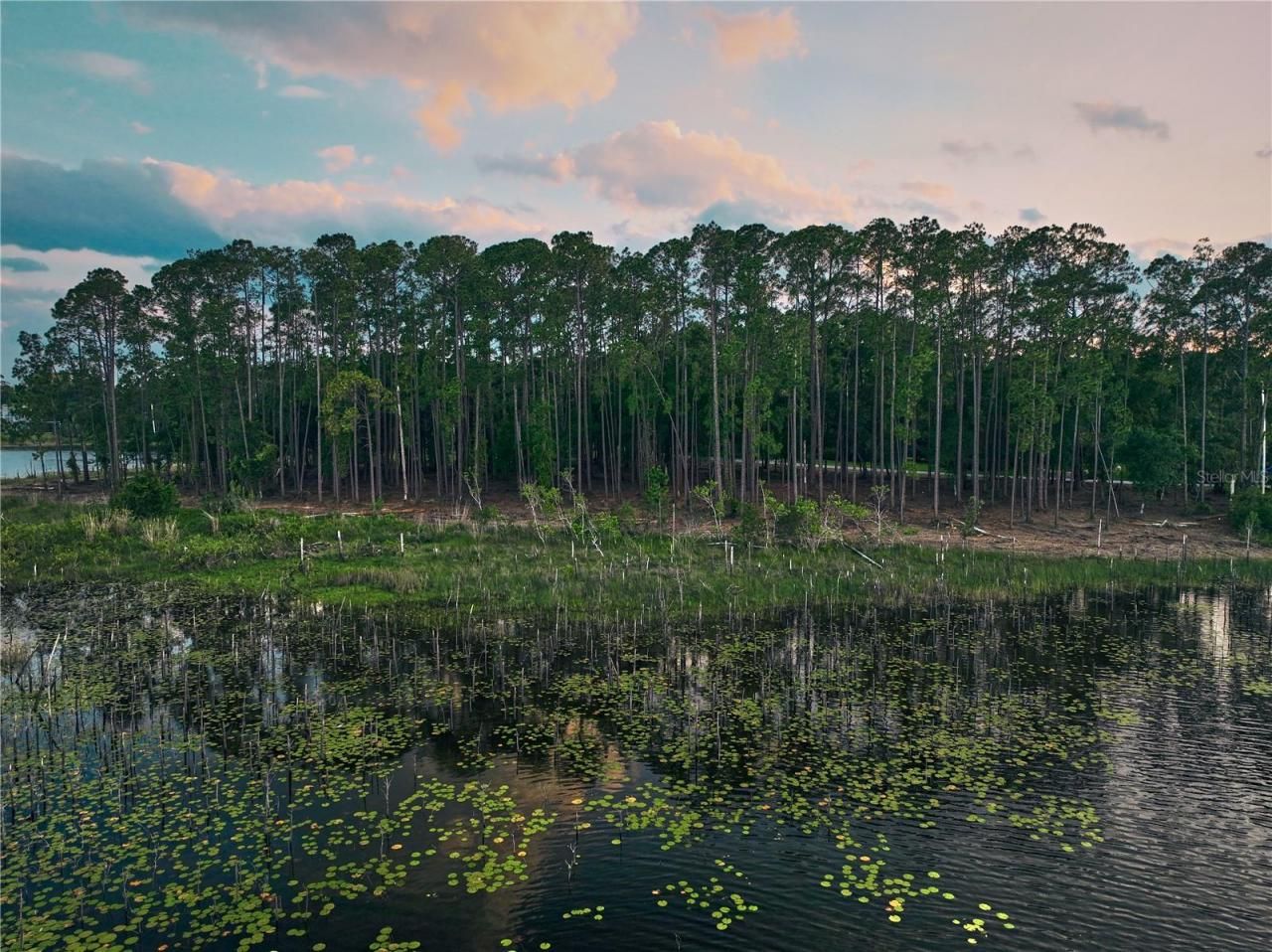 116 E Greentree Lane, Lake Mary, FL 32746 Photo