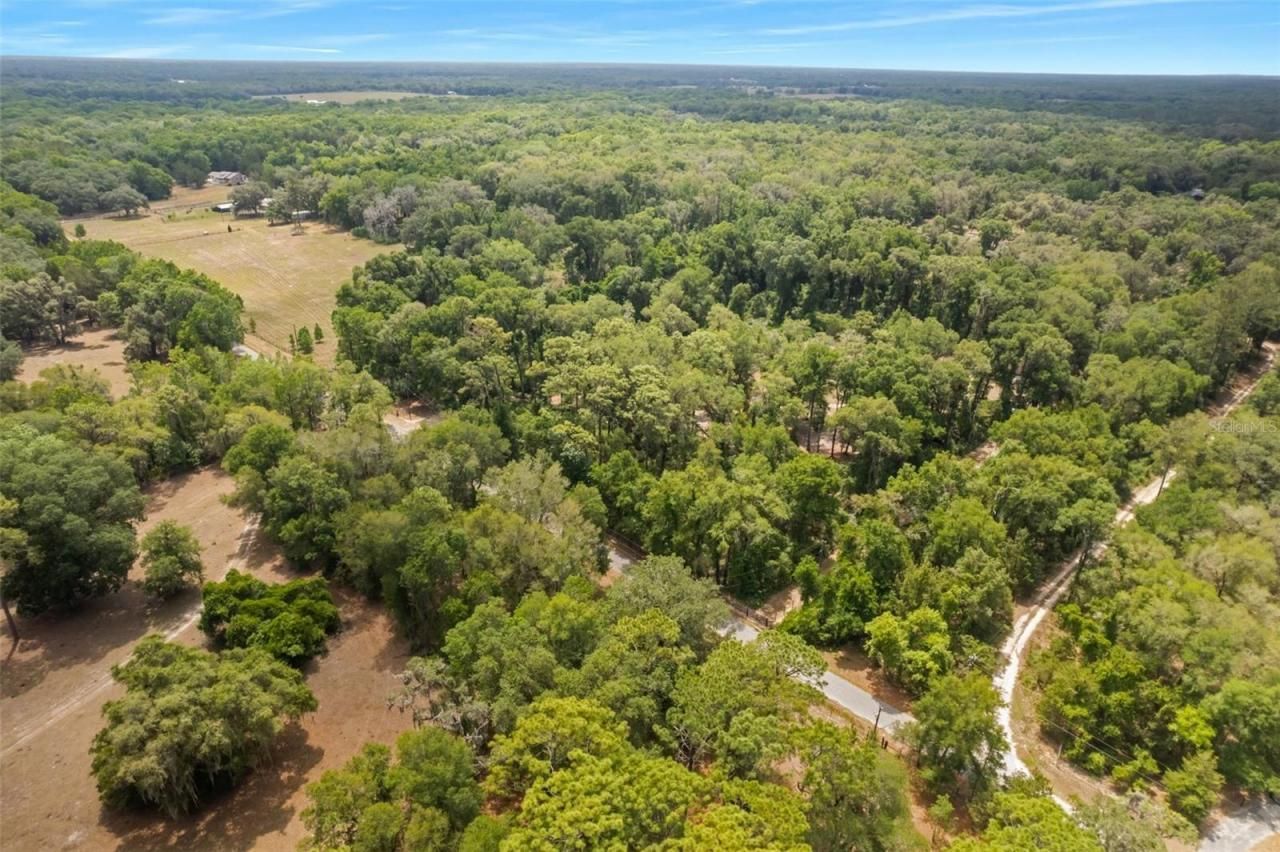 9986 E New Hope Court, Floral City, FL 34436 Photo