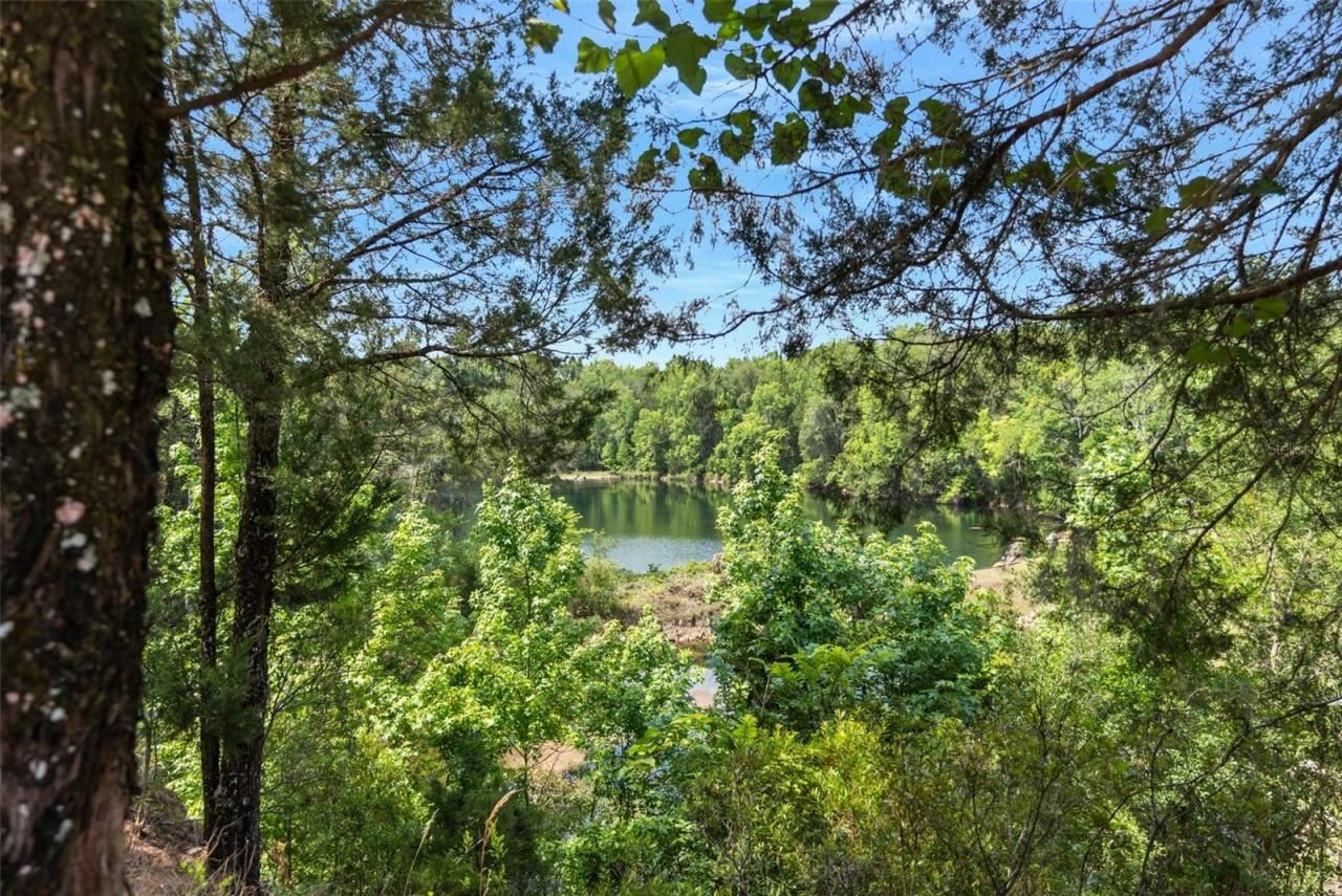 9986 E New Hope Court, Floral City, FL 34436 Photo