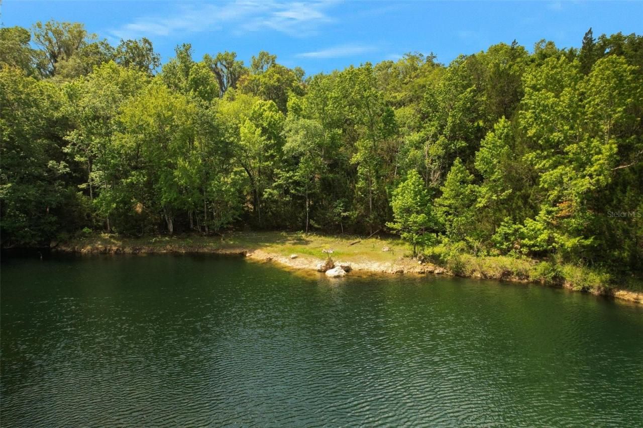 9986 E New Hope Court, Floral City, FL 34436 Photo