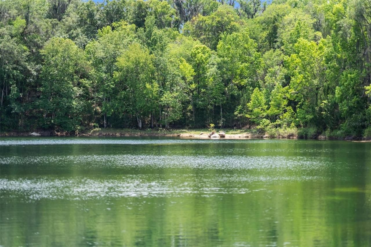 9986 E New Hope Court, Floral City, FL 34436 Photo