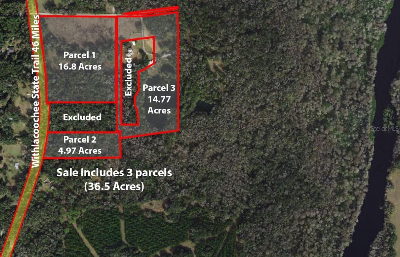 9986 E New Hope Court, Floral City, FL 34436 Photo