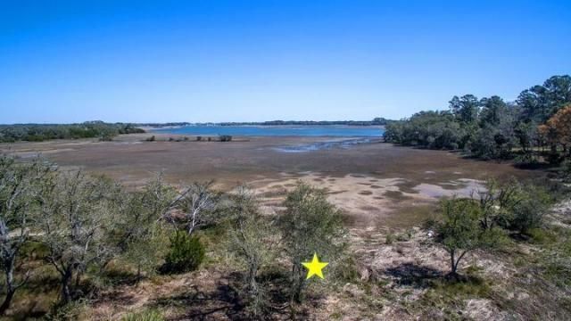 7045 Whistling Alligator Way Photo 4