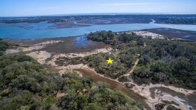 7045 Whistling Alligator Way Photo 8