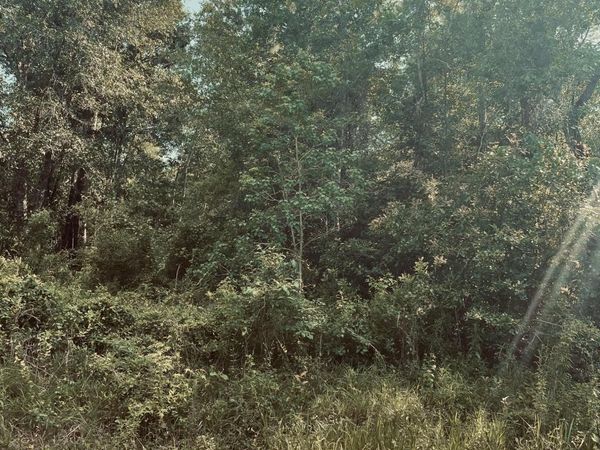 Lots 19&20 East Adams Street, Bay Saint Louis, MS 39520