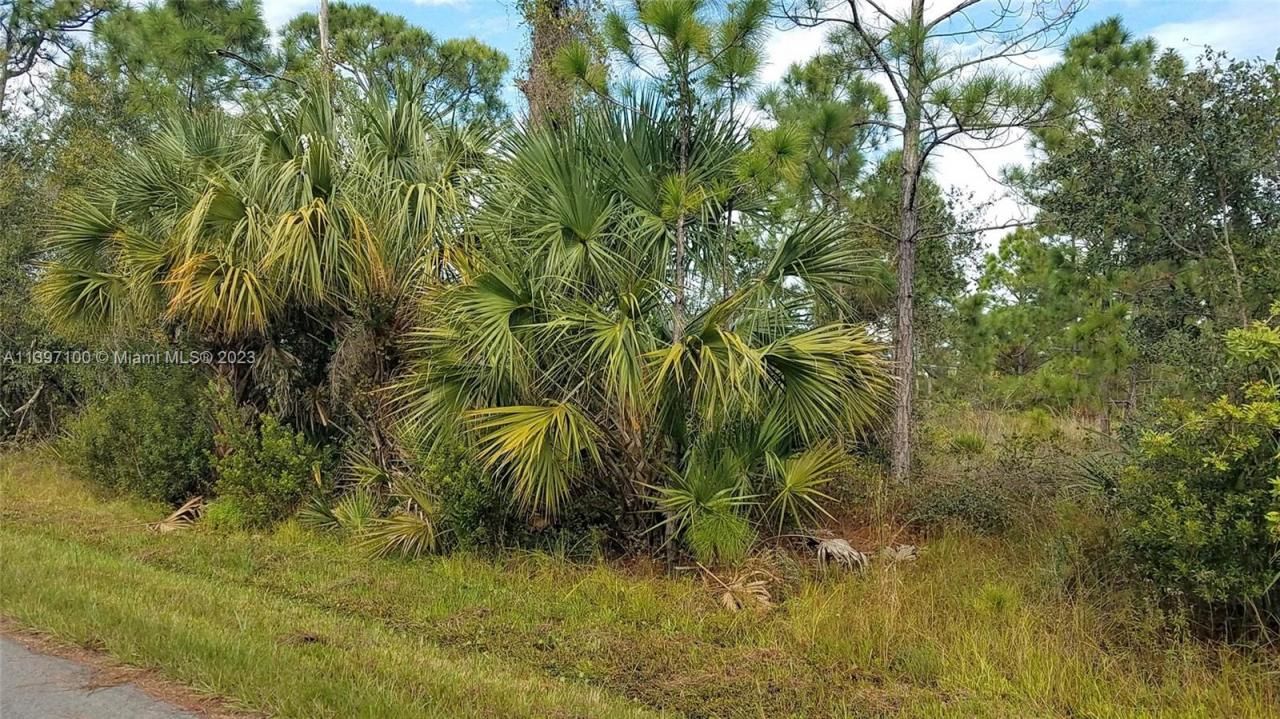 26318 Hapsburg Rd, Punta Gorda, FL 33955 Photo