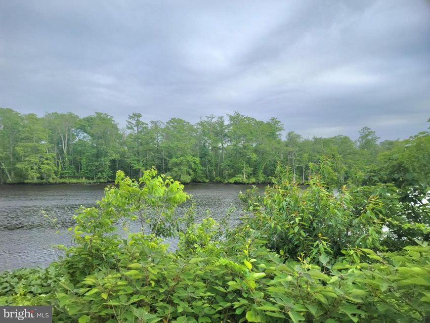 Somerset Road, Pocomoke, MD 21851 Main Photo