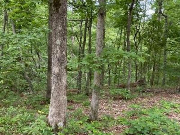 0 Eagle Nest Ln, Big Sandy, TN 38221