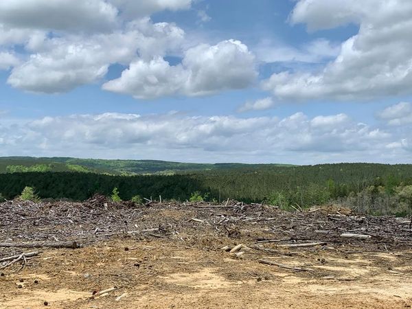 0 Retro Hughes Rd., Soddy Daisy, TN 37373