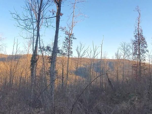 Tract 10 Off Glenobey Road, Jamestown, TN 38555