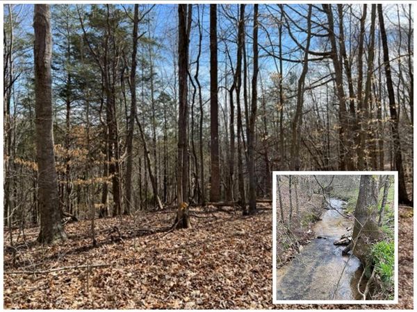 198 Turkey Town Road, Hilham, TN 38568