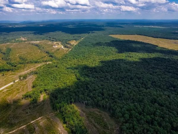 16226 SR 50, Altamont, TN 37301