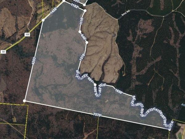 16226 SR 50, Altamont, TN 37301