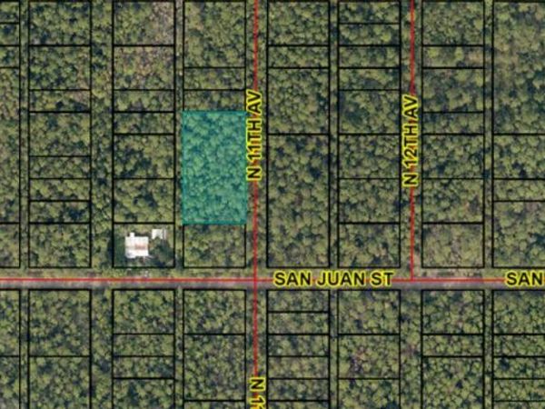 2805 N 11th Avenue, Milton, FL 00000