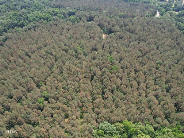 County Road 227, Coffeeville, MS 38922