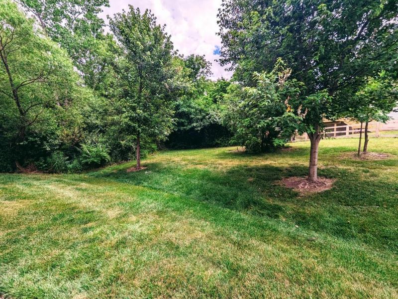 B Nelson Lane, Lebanon, OH 45036 Photo 13