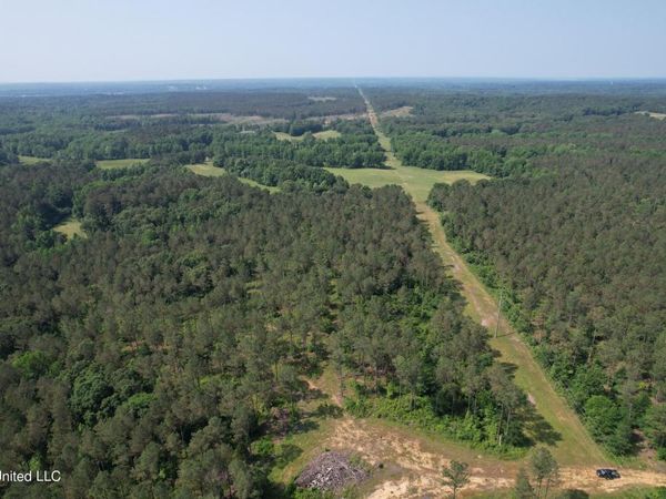 County Rd 323, Taylor, MS 38673