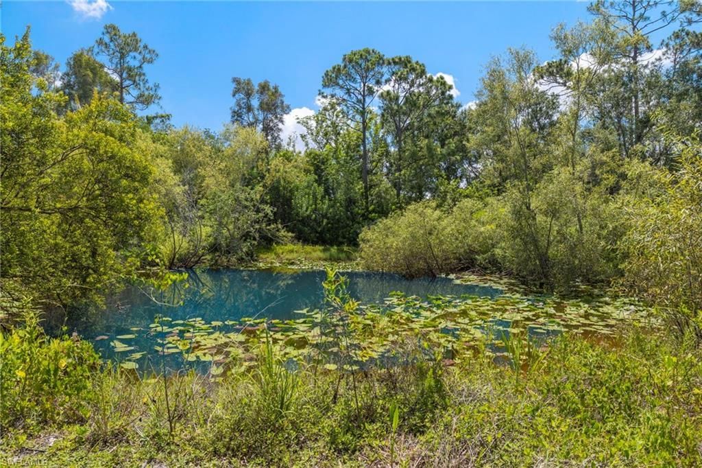 13100 Pinto Ln, Fort Myers, FL 33912 Photo