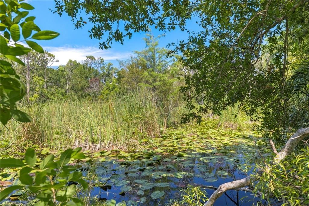 13100 Pinto Ln, Fort Myers, FL 33912 Photo