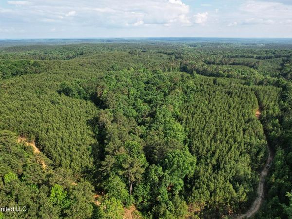 Tom Mans Road, Vaiden, MS 39176