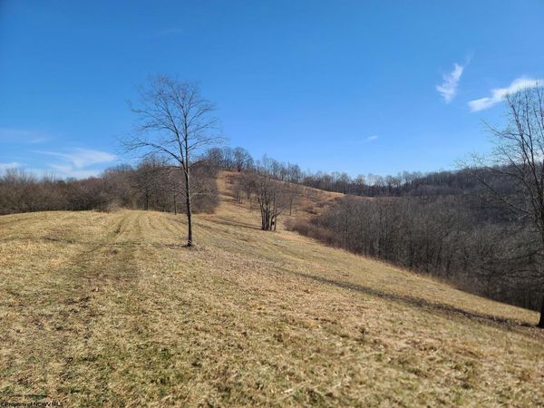 1931 Saint Leo Road, Wana, WV 26590