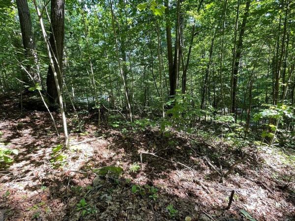 LOT 8D Eagle Heights, Hiawassee, GA 30546