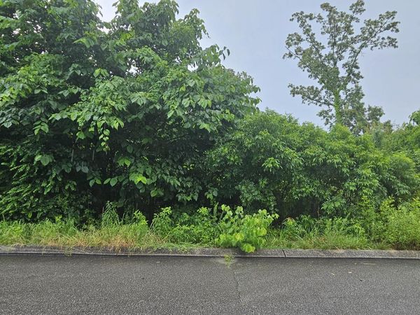 10166 Hunters Hollow Drive, Soddy Daisy, TN 37379