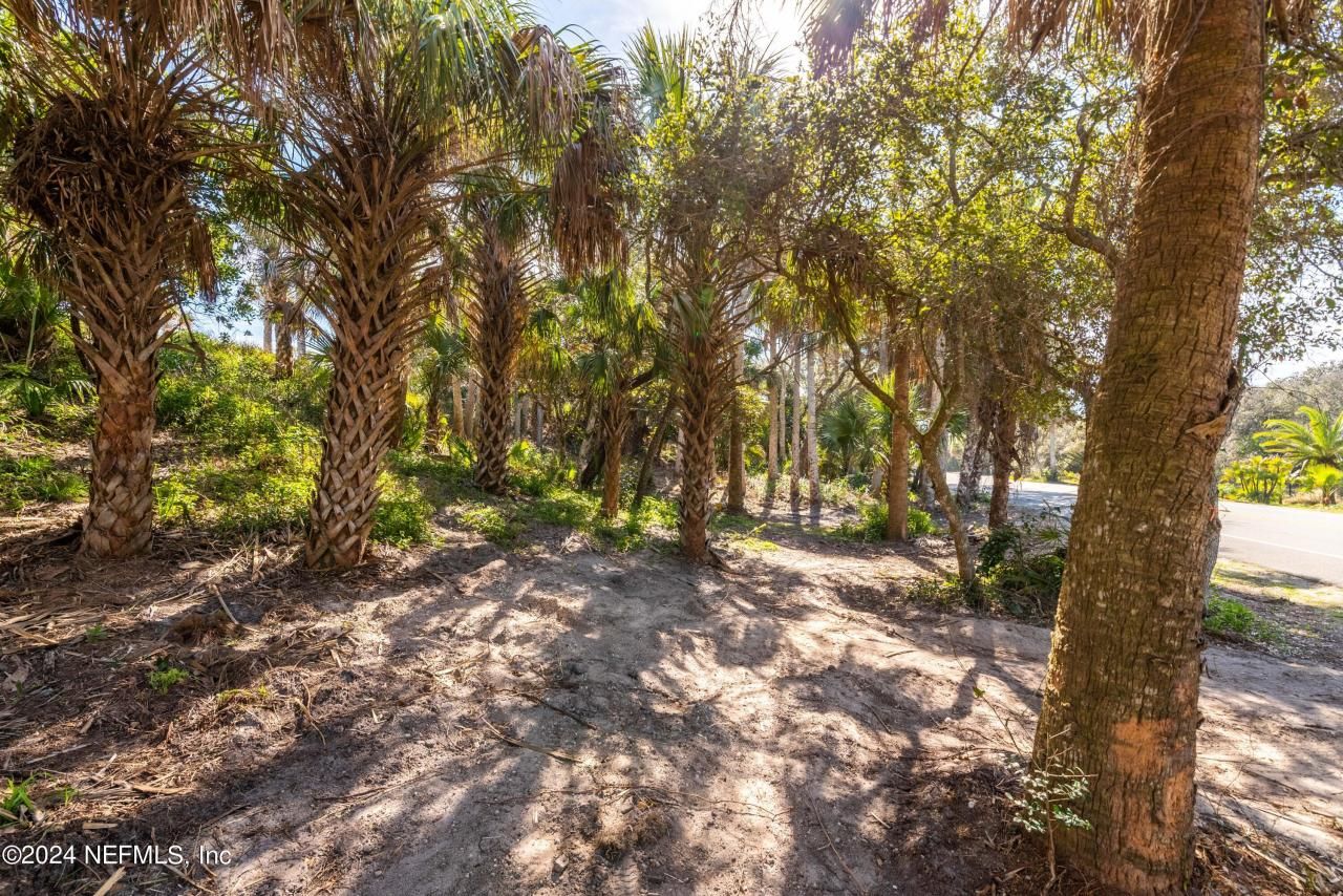 1331 Ponte Vedra Boulevard, Ponte Vedra Beach, FL 32082 Photo