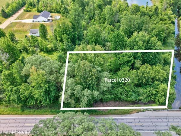 VL 0320 BIRCH Run, Arbela Twp, MI 48746