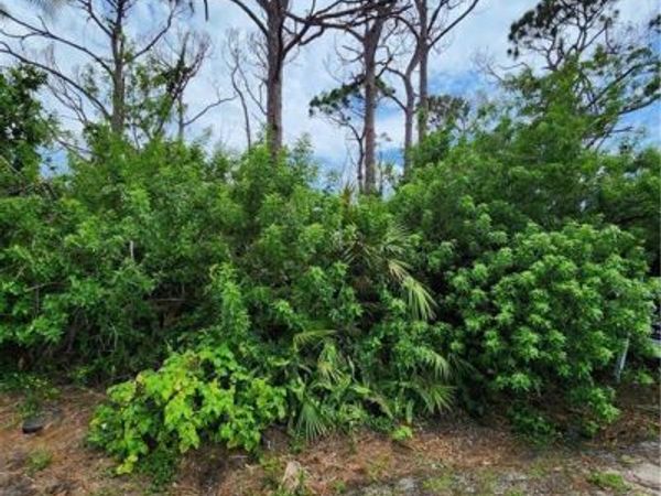 3853 Citrus ST, ST. JAMES CITY, FL 33956