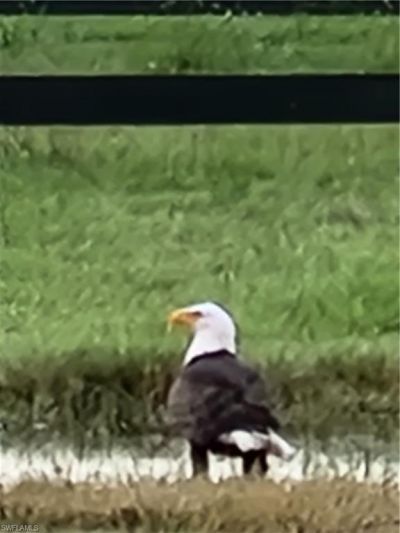 3853 Citrus St, Saint James City, FL 33956 Photo