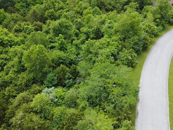 121 Links Court, Tazewell, TN 37879