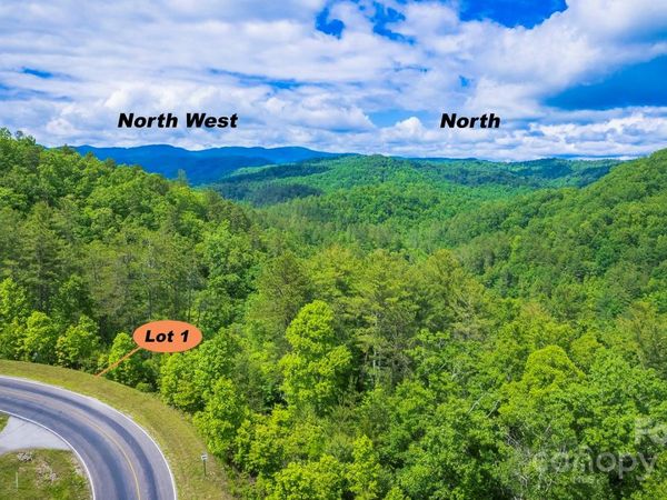 Lot 1 Reynolds Parkway, Ferguson, NC 28624