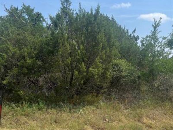 3416 Alabama Trail, Granbury, TX 76048