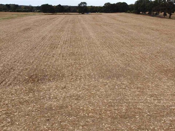 00 HWY 51 HWY, Halls, TN 38040