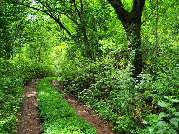 4843 Stanaford Rd, Prince, WV 25907