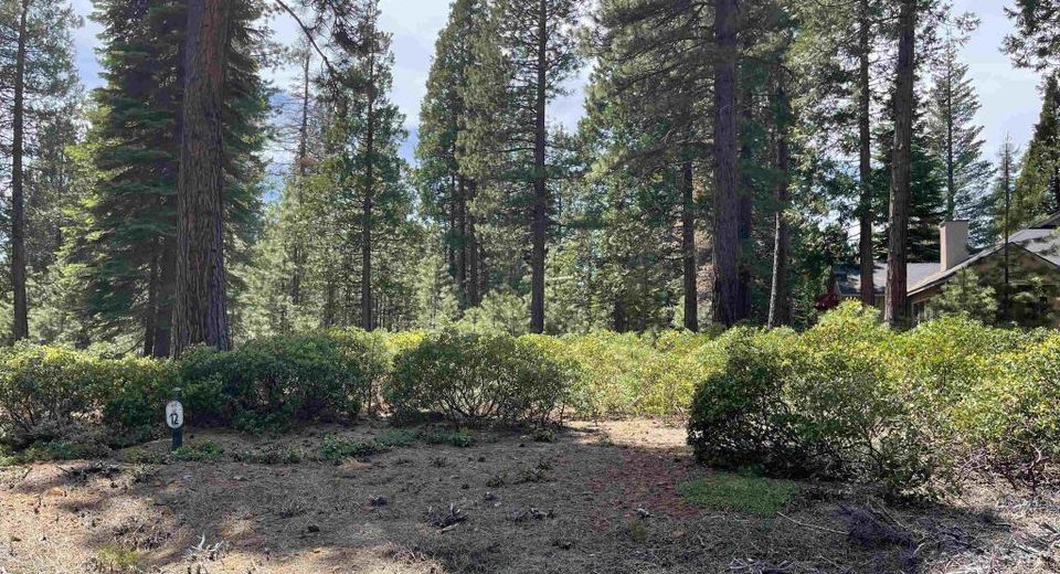 70 Fox Pine Drive, Lake Almanor, CA 96137 Photo