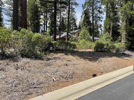 70 Fox Pine Drive, Lake Almanor, CA 96137 Photo