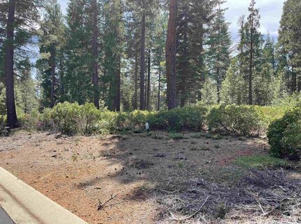 70 Fox Pine Drive, Lake Almanor, CA 96137 Photo